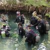 SCUBA Diving in Levy County